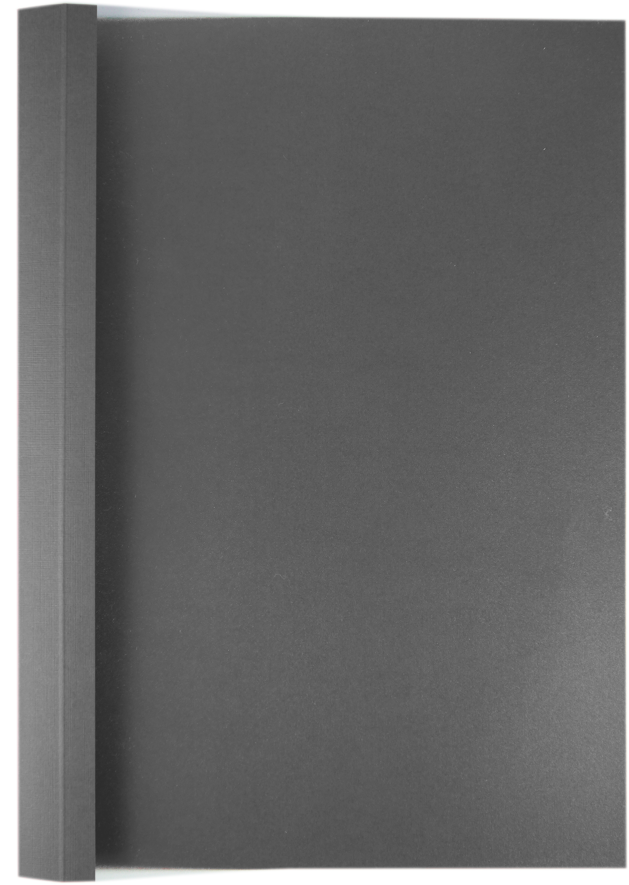 Produktabbildung graue Ösenmappe mit Frontfolie
