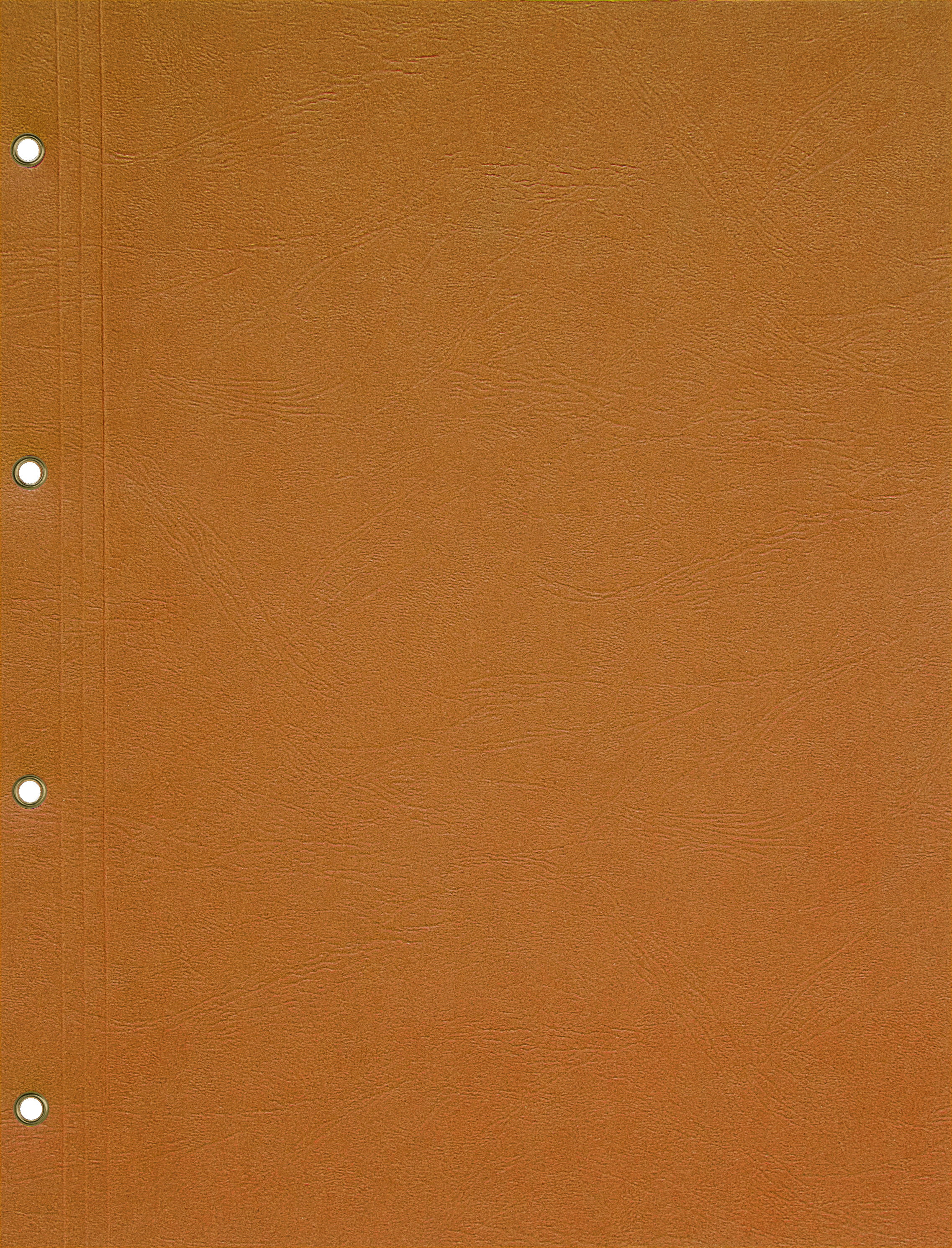 Produktabbildung orange Bilanzmappe